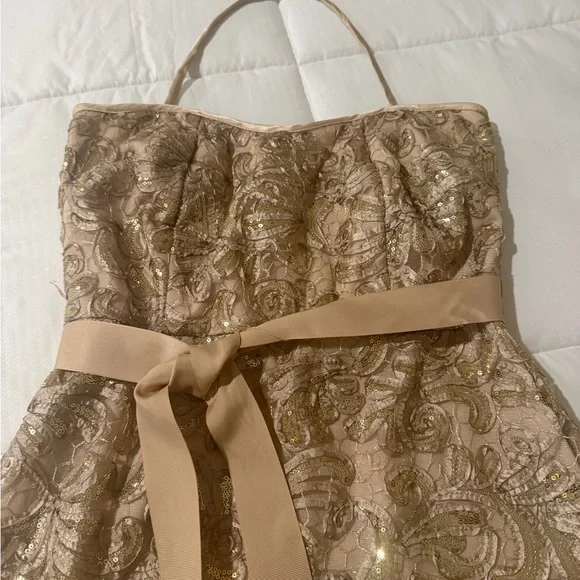 Adam Strapless Lace & Sequin Gown in Champagne Gold - Picture 3 of 4